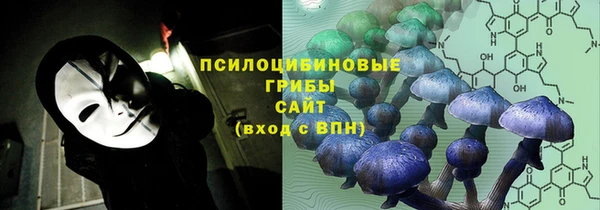 гашиш Осташков
