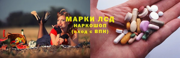 ГАЛЛЮЦИНОГЕННЫЕ ГРИБЫ Осинники