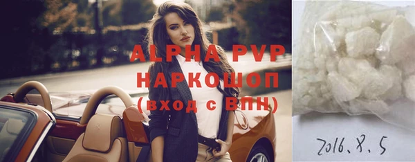 гидра Няндома