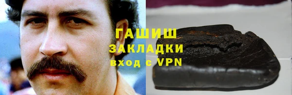 гидра Няндома