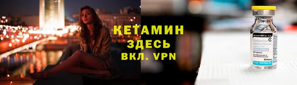 прущие грибы Верхний Тагил