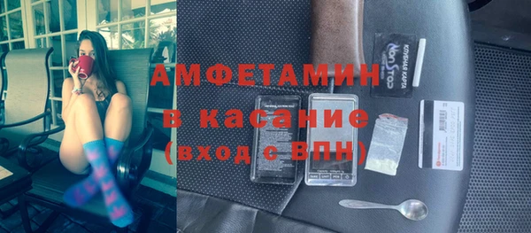 гидра Няндома