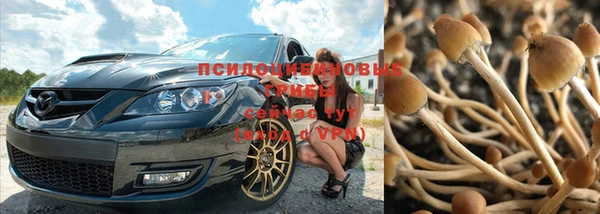 гидра Няндома