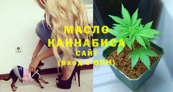 гидра Няндома