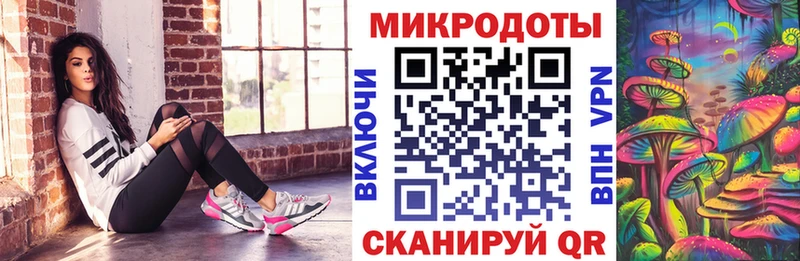 Галлюциногенные грибы Psilocybine cubensis  Зеленоградск 